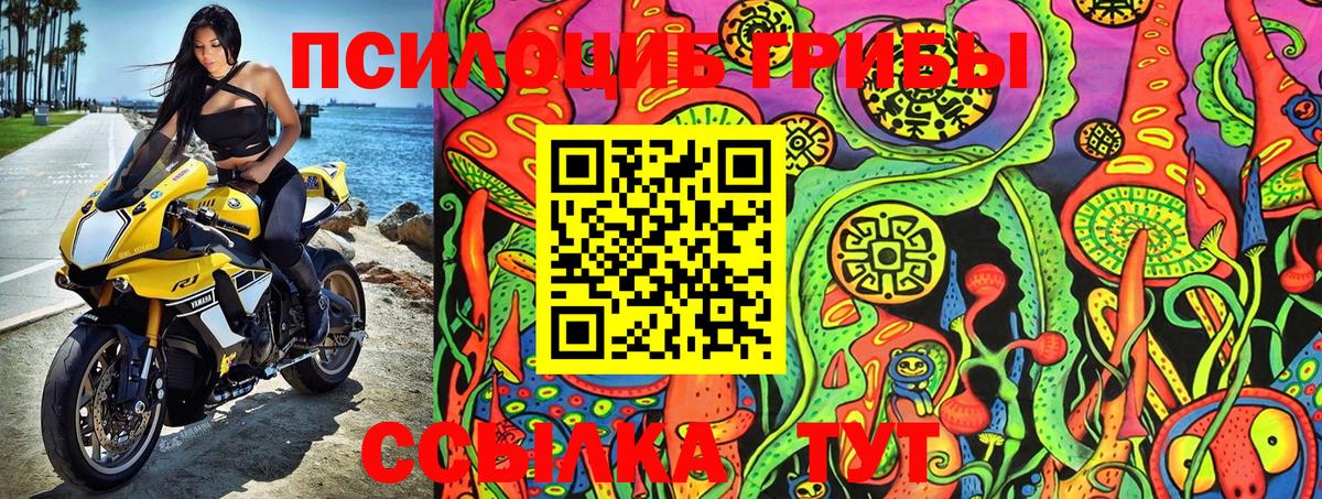 Галлюциногенные грибы Magic Shrooms  Вход с VPN  Жигулёвск 