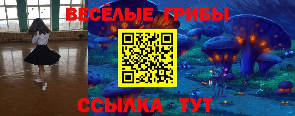 Псилоцибиновые грибы Psilocybe Жигулёвск